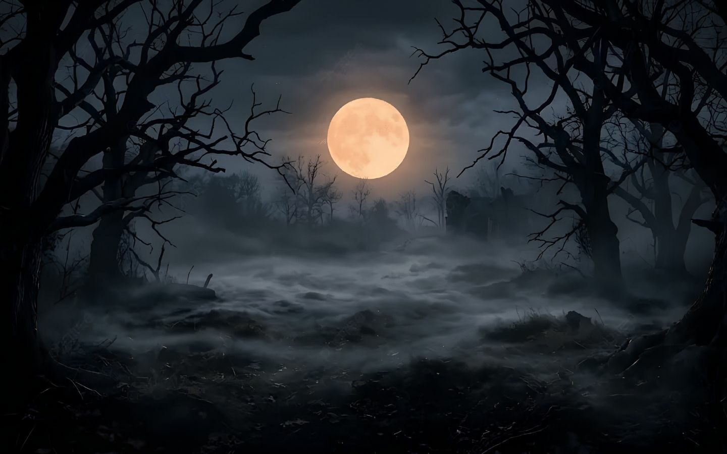 100+ Hình nền Halloween đẹp, kinh dị cho điện thoại, máy tính 30 Hình nền khu rừng Halloween với ánh sáng huyền ảo
