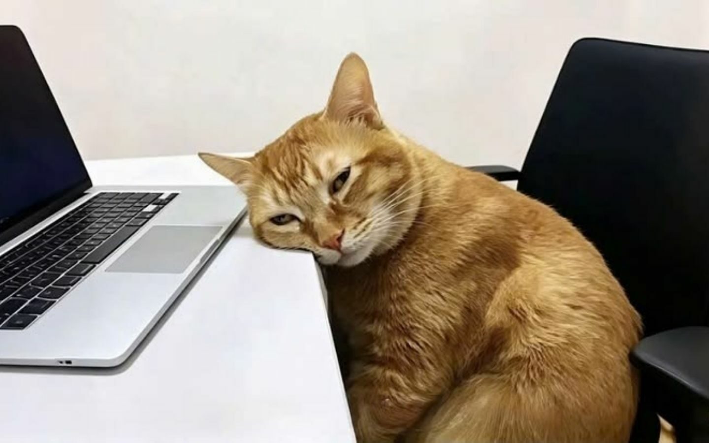 Hình nền laptop siêu bá đạo 