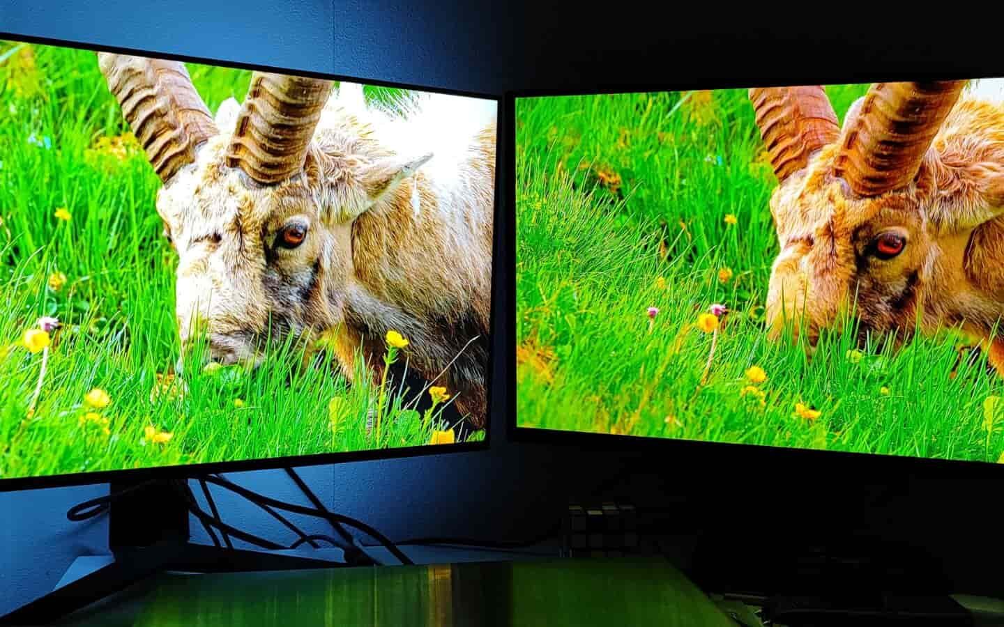 Màn hình OLED và IPS: Ưu nhược điểm và cách chọn màn hình 3 Cả 2 đều cho khả năng hiển thị màu sắc trung thực cùng góc nhìn rộng