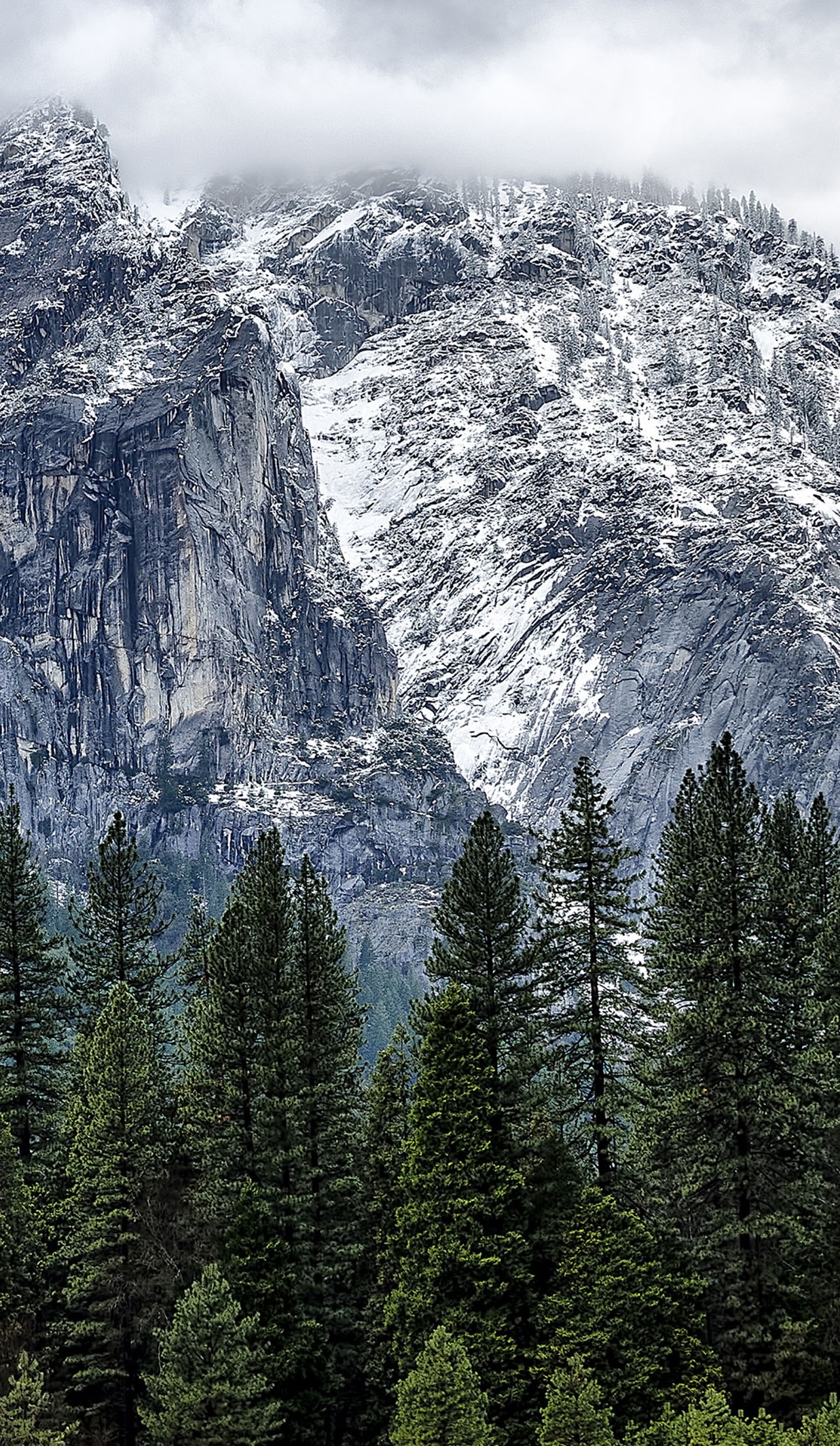 Yosemite Mountain Snow Forest Android Wallpaper 1