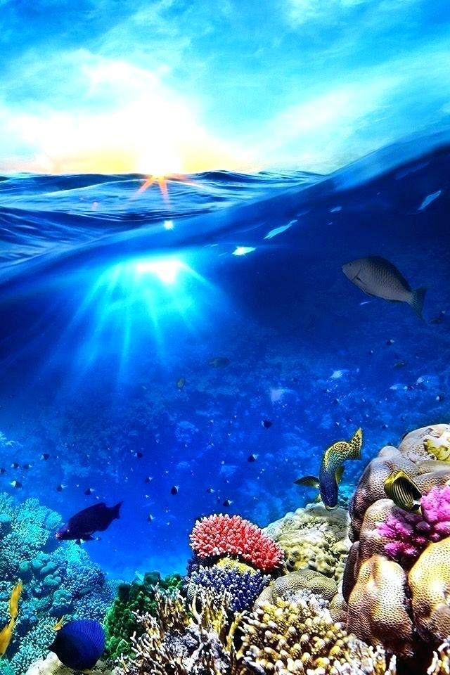 under the sea wallpaper download seaside wallpapers for android