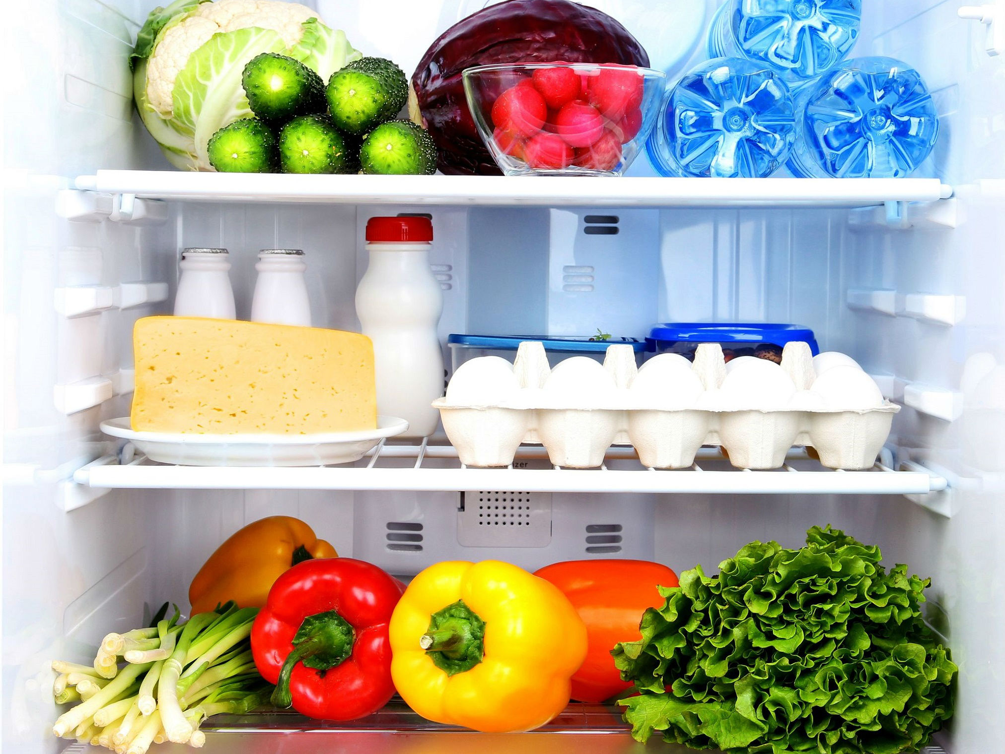 Sử dụng tủ lạnh phù hợp với nhu cầu