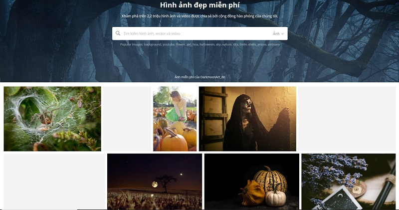 20 Background đẹp cho website hút hồn người xem