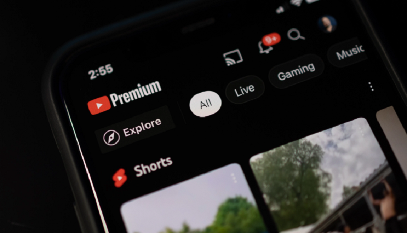 videos 4K riêng cho những gói YouTube Premium 